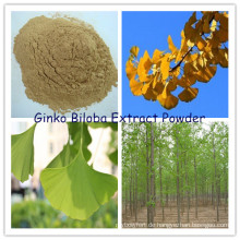 Ginko Biloba Blätter Extrakt Pulver (N. L. T. 24% Flavones Glycoside)